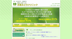Desktop Screenshot of hounanmidori-cl.com